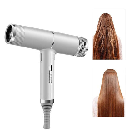 NNEOBA Strong Wind Hair Dryer with Blue Light & Anion Technology - Alumis